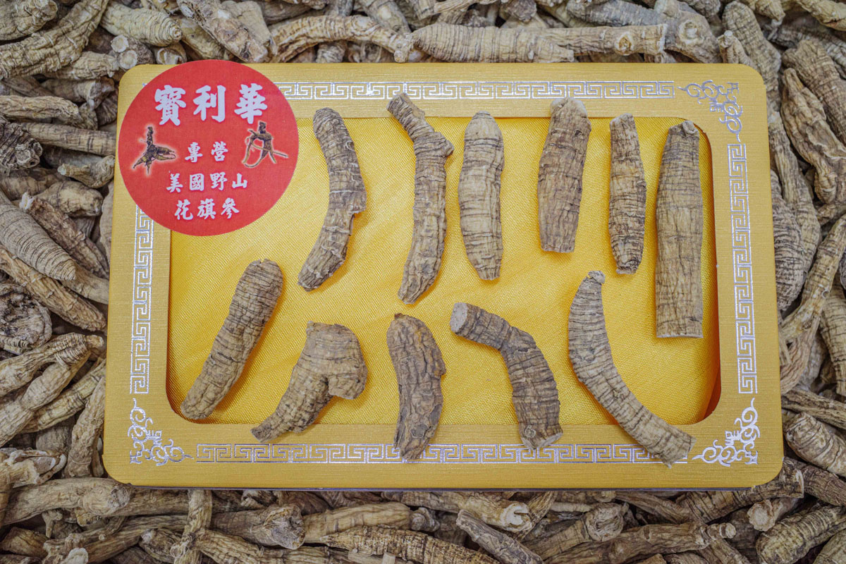 星級野生花旗參