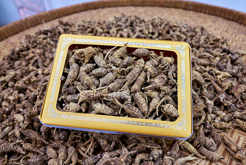 寶利華參行有限公司