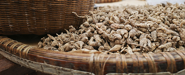 寶利華參行有限公司